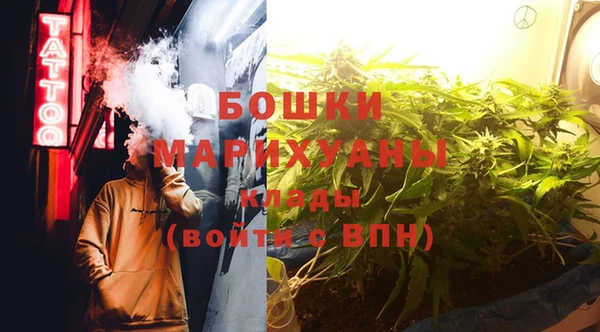 2c-b Сосновка