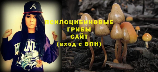 твердый Лабытнанги