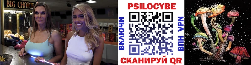 Купить закладки  Арсеньев  Галлюциногенные грибы Psilocybine cubensis 